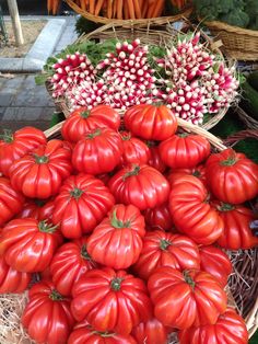 several baskets filled with lots of red tomatoes