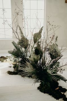 a vase filled with plants and dirt on top of a white floor next to a window