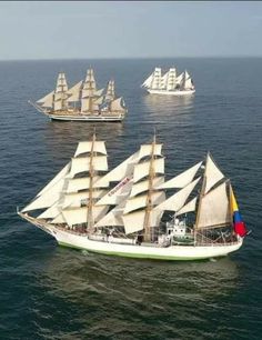 several large sailboats in the ocean with sails down and white sails on each boat