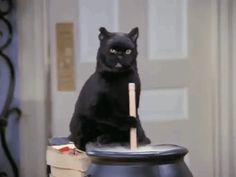 a black cat sitting on top of a trash can with a stick in its mouth