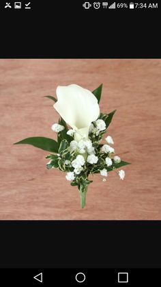 a white flower with green leaves on a wooden table