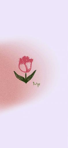 Cute Tulips Wallpaper Cartoon, Wallpaper Backgrounds Tulips, Tulip Wallpaper Aesthetic, Topper Aesthetic, Pink Tulips Wallpaper Aesthetic, Tulip Aesthetic, Iphone Wallpaper Travel, Tulip Wallpaper