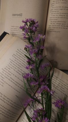 an open book with purple flowers on it