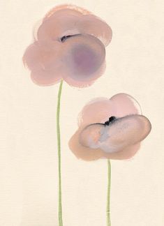 two pink flowers on a white background