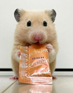 a hamster holding a bag of potato chips