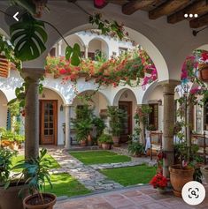 an outdoor courtyard with potted plants and flowers