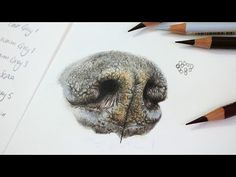 an owl's head is shown with pencils next to it and some writing on the paper