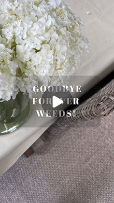 a vase filled with white flowers sitting on top of a table