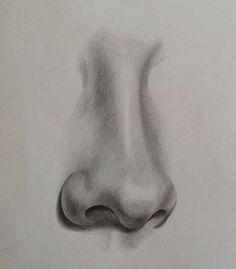 a pencil drawing of a nose