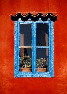 a red wall with a blue window and potted plants