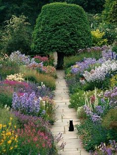 a black cat sitting in the middle of a garden filled with lots of flowers and trees