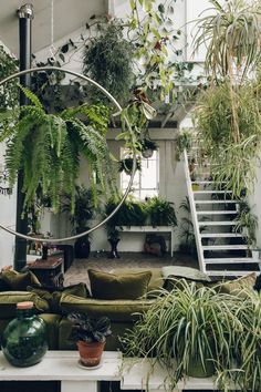 a living room filled with lots of plants next to a stair case full of potted plants