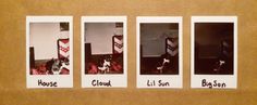 four polaroid pictures of dogs and cats in different colors, with the caption's above them