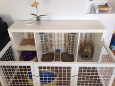 a cat house with several cats in it's caged doors and one on the floor