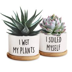 PRICES MAY VARY. Flowerpots Size: Flower pots 3.5 * 3.5 * 3inches, These pots for plants are good size to grow succulent, cactus, aloe and other plants. they are small enough to display on any window sill or shelf in your home.( 2 Flower Pots, Not Include Plants). Material: The pots are made from high-end, durable ceramic baked at a high temperatures to ensure that color will not fade over time, with a smooth white glaze, durable, not easily broken. Flowerpot drain hole: The Cute flowerpot has d I Wet My Plants, Ceramic Succulent Pots, Painted Pots Diy, Planter Gift, Bamboo Tray, Cactus Planter, Women Friends, Cactus Pot, Decorated Flower Pots