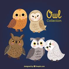 four owls with different colors and sizes sitting on top of each other in front of the words owl collection