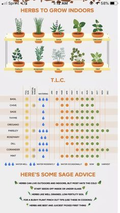 an info sheet with plants growing in pots on top of each other and the words grow indoors