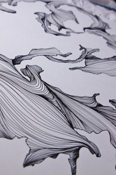 an image of a black and white drawing on paper