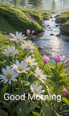 the words good morning are written in front of flowers and water with mountains in the background