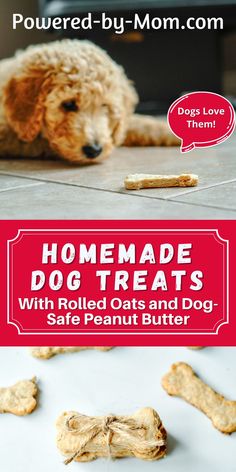 homemade dog treats with rolled oats and dog safe peanut butter are the perfect treat for dogs