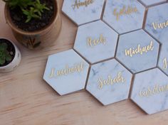 marble coasters with the names of different languages on them next to a potted plant