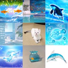 there are many different pictures with dolphins and fish in them, including one that looks like a cat