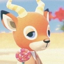 an animal that is holding a flower in it's hand and looking at the camera