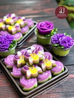 purple and yellow flowers in small pots on trays