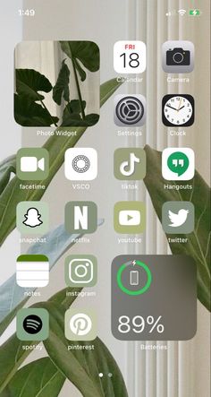 an iphone screen with the icons on it