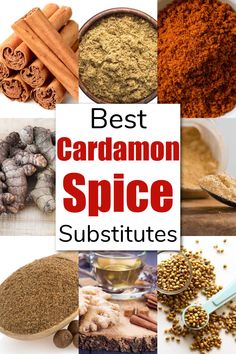 the best cardamon spice subs and their uses, from cinnamon to ginger