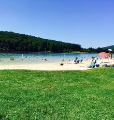 many people are on the beach and in the water at this point, there is a lot of green grass