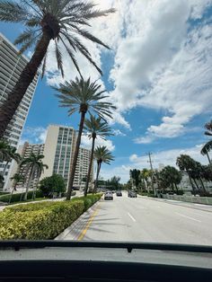 palm trees line the street in front of tall buildings