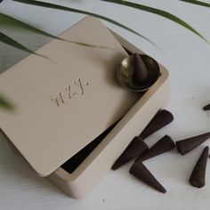 several pieces of chocolate sitting on top of a white box next to a green plant