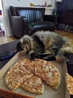 a cat laying on top of a pizza in a box next to a slice of pizza