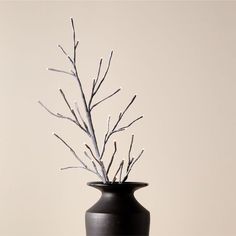 a black vase with some branches in it