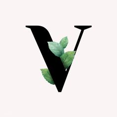 the letter v has leaves on it and is black with green leaves growing out of it