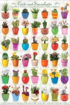 a poster with many different types of plants