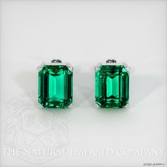 ⁣Emerald Earrings 7.23 Ct.Tw. Platinum 950 | The Natural Emerald Company Ear Jewellery, Emerald Wedding Band, Emerald Diamond Earrings, Emerald Green Earrings, Plain Wedding Band, Plain Bands, Elegant Sophisticated, Emerald Engagement, Band Jewelry