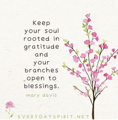 a pink flower with green leaves on it and the words, keep your soul rooted in gratitude and your branches open to blessing