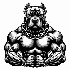 a pitbull with chains on his chest and hands in the shape of a chain