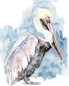 a watercolor painting of a pelican