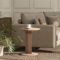 a living room with a couch, coffee table and potted plant on the floor