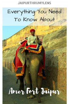 an elephant with a man sitting on it's back and the words, everything you need to know about