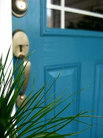 a potted plant sitting in front of a blue door with a light on it