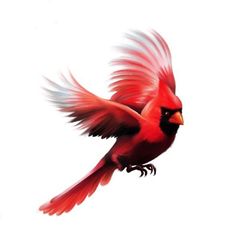 a red bird flying through the air with its wings spread