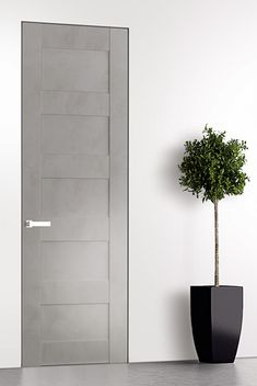 a potted plant next to a door in a white room