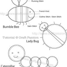 the parts of a lady bug and how they are labelled in this diagram, you can see