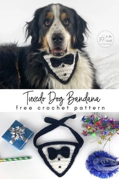 a dog wearing a crochet bow tie and matching necktie with other items