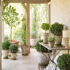 there are many potted plants on the table in front of the door to the house