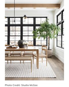 a dining room table with chairs and a potted plant in front of large windows